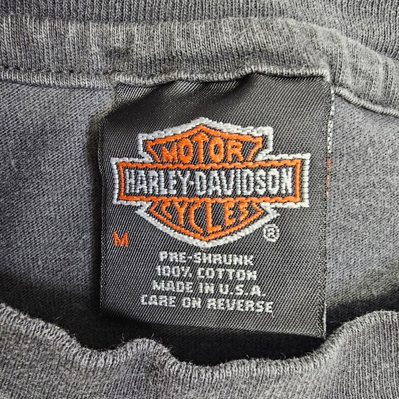 VTG 1994 Harley-Davidson Taz Shirt M USA Made Looney Tunes Coziahr Decatur IL - Picture 8 of 9